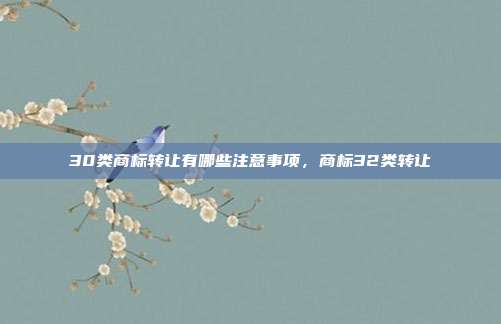 30类商标转让有哪些注意事项,商标32类转让