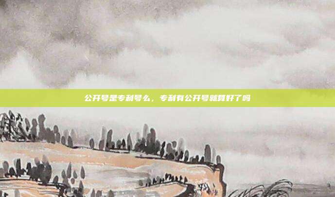 公开号是专利号么,专利有公开号就算好了吗
