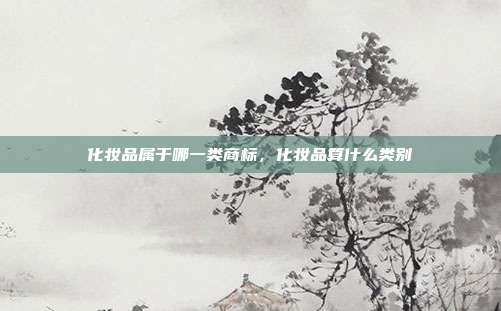 化妆品属于哪一类商标,化妆品算什么类别