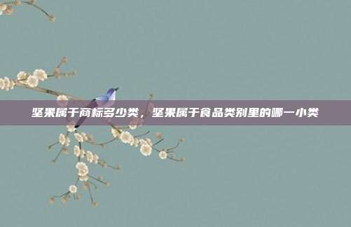 坚果属于商标多少类,坚果属于食品类别里的哪一小类