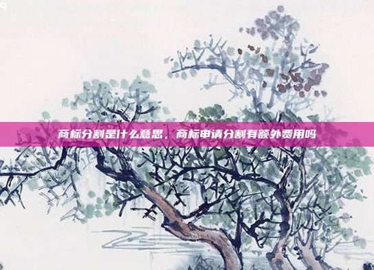 商标分割是什么意思,商标申请分割有额外费用吗