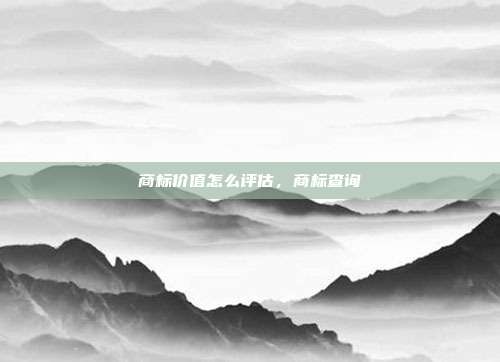 商标价值怎么评估,商标查询