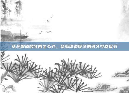 商标申请被驳回怎么办，商标申请提交后多久可以查到