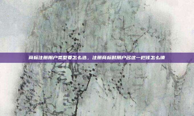 商标注册用户类型要怎么选,注册商标时用户名这一栏该怎么填