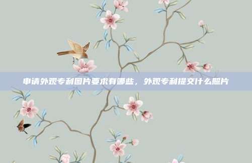 申请外观专利图片要求有哪些,外观专利提交什么照片