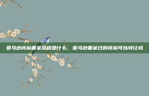 亚马逊商标备案流程是什么,亚马逊备案过的商标可以转让吗