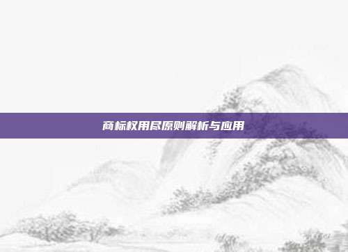 商标权用尽原则解析与应用