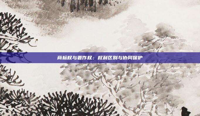 商标权与著作权:权利区别与协同保护