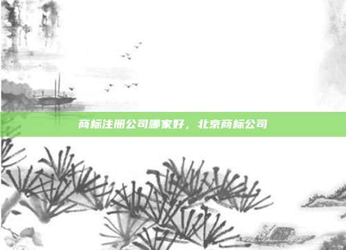 商标注册公司哪家好,北京商标公司