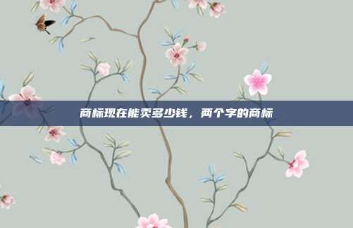 商标现在能卖多少钱,两个字的商标