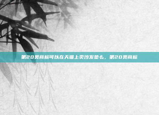 第20类商标可以在天猫上卖沙发垫么,第20类商标
