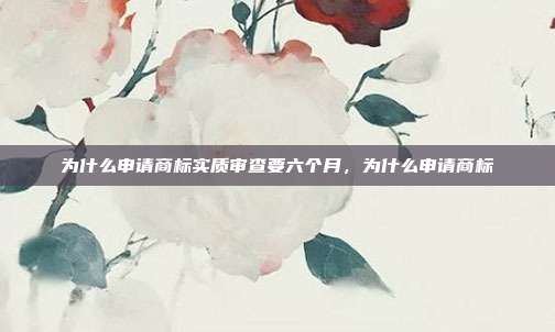 为什么申请商标实质审查要六个月,为什么申请商标