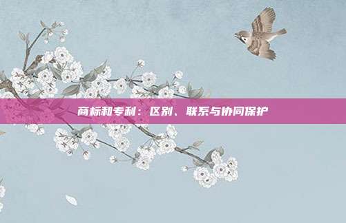 商标和专利:区别、联系与协同保护