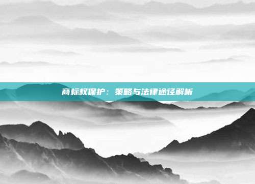 商标权保护:策略与法律途径解析