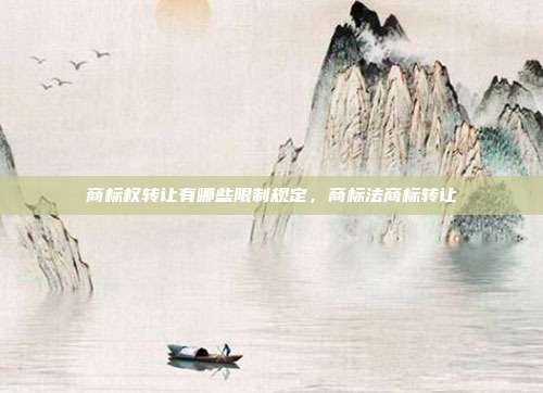 商标权转让有哪些限制规定,商标法商标转让