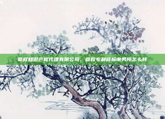 嘉权知识产权代理有限公司，嘉权专利商标事务所怎么样