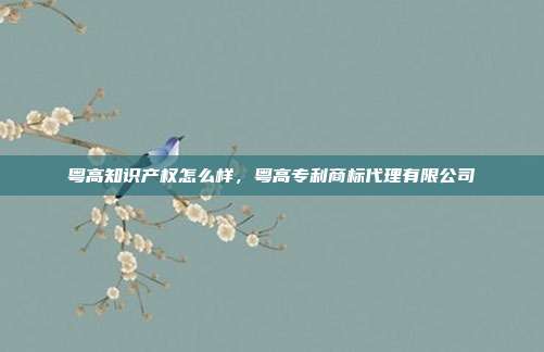 粤高知识产权怎么样,粤高专利商标代理有限公司