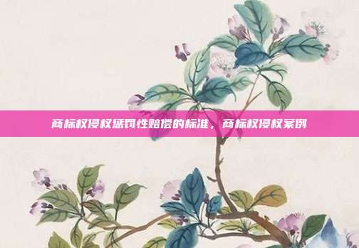 商标权侵权惩罚性赔偿的标准,商标权侵权案例