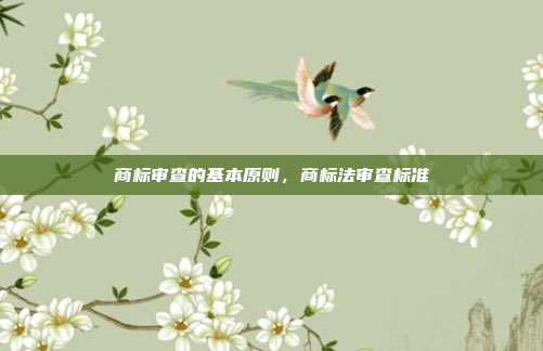 商标审查的基本原则,商标法审查标准