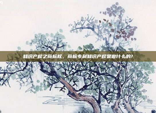 知识产权之商标权,商标专利知识产权是做什么的?