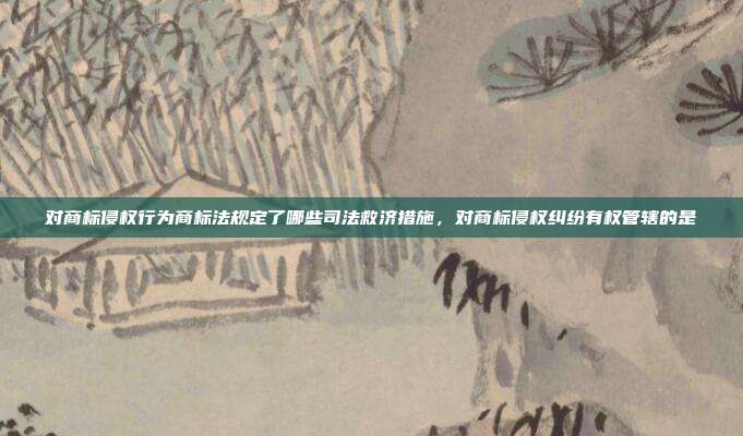 对商标侵权行为商标法规定了哪些司法救济措施,对商标侵权纠纷有权管辖的是