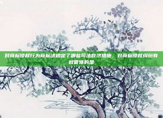 对商标侵权行为商标法规定了哪些司法救济措施,对商标侵权纠纷有权管辖的是