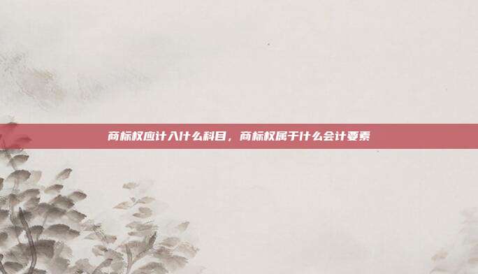 商标权应计入什么科目,商标权属于什么会计要素
