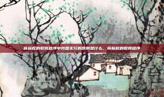 商标权的取得程序中我国实行的原则是什么,商标权的取得程序