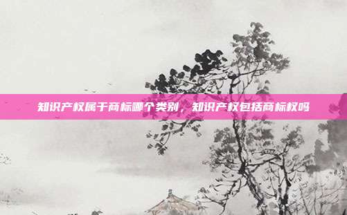 知识产权属于商标哪个类别,知识产权包括商标权吗