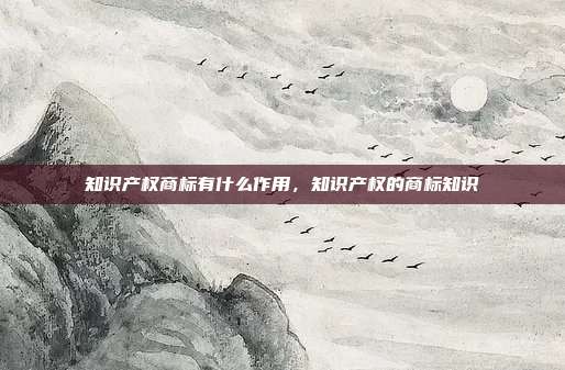 知识产权商标有什么作用,知识产权的商标知识