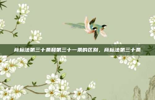 商标法第三十条和第三十一条的区别,商标法第三十条