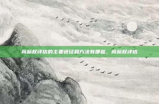 商标权评估的主要途径和方法有哪些,商标权评估