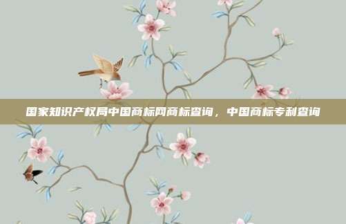 国家知识产权局中国商标网商标查询,中国商标专利查询