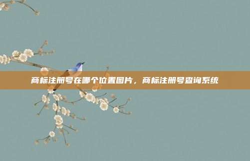 商标注册号在哪个位置图片,商标注册号查询系统
