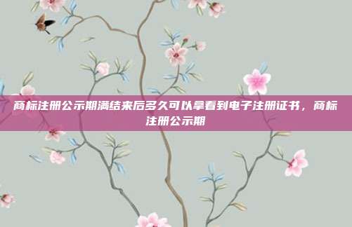 商标注册公示期满结来后多久可以拿看到电子注册证书,商标注册公示期