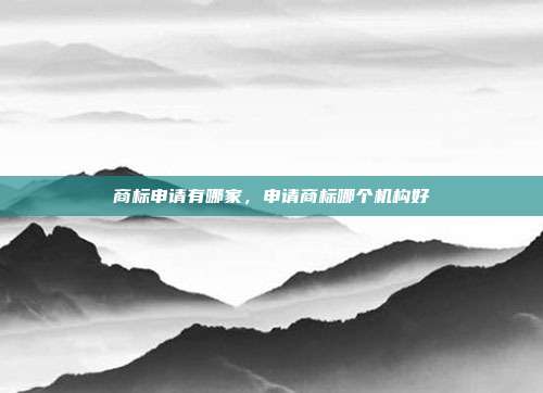 商标申请有哪家,申请商标哪个机构好