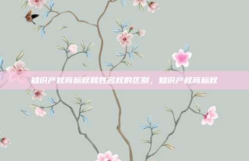 知识产权商标权和姓名权的区别,知识产权商标权