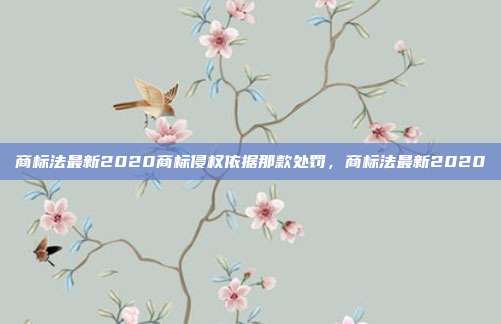 商标法最新2020商标侵权依据那款处罚,商标法最新2020