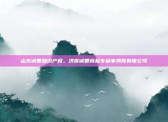 山东诚智知识产权,济南诚智商标专利事务所有限公司