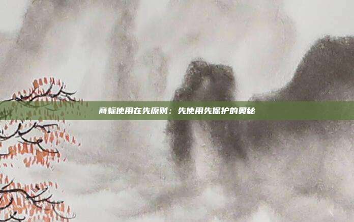 商标使用在先原则:先使用先保护的奥秘