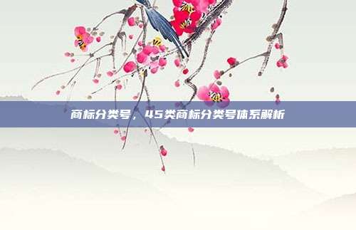 商标分类号,45类商标分类号体系解析