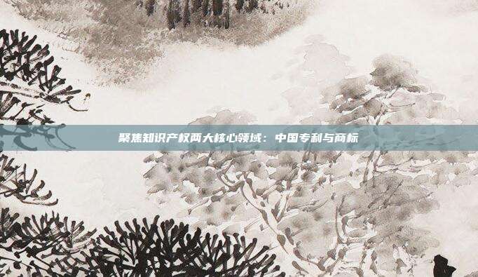 聚焦知识产权两大核心领域:中国专利与商标