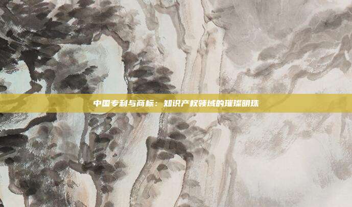 中国专利与商标:知识产权领域的璀璨明珠