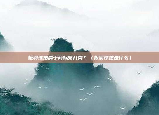板羽球拍属于商标第几类?(板羽球拍是什么)