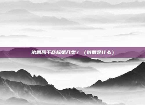 笊篱属于商标第几类?(笊篱是什么)