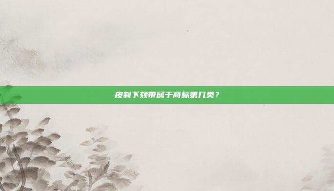 皮制下颏带属于商标第几类？