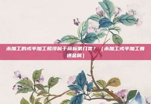 未加工的或半加工鲸须属于商标第几类？（未加工或半加工普通金属）