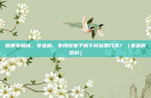 瓶用非玻璃、非金属、非橡胶塞子属于商标第几类?(非金属塑料)