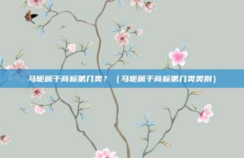 马轭属于商标第几类?(马轭属于商标第几类类别)