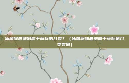 冰箱除味味剂属于商标第几类?(冰箱除味味剂属于商标第几类类别)